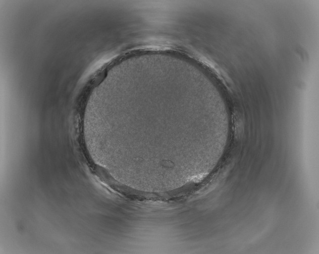 X0000110761448200907271134