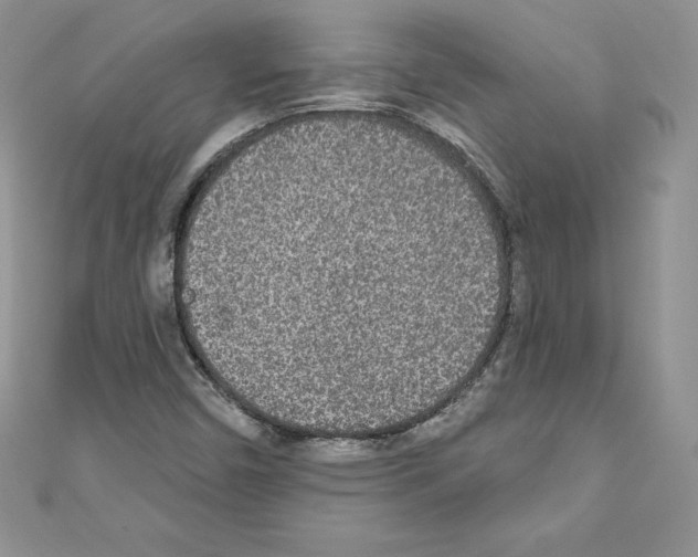 X0000110761450200907271134