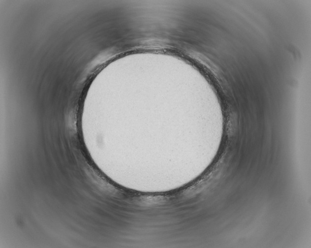 X0000110761451200907271134