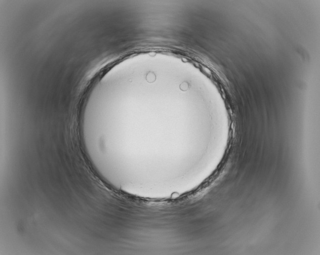 X0000110761453200907271134