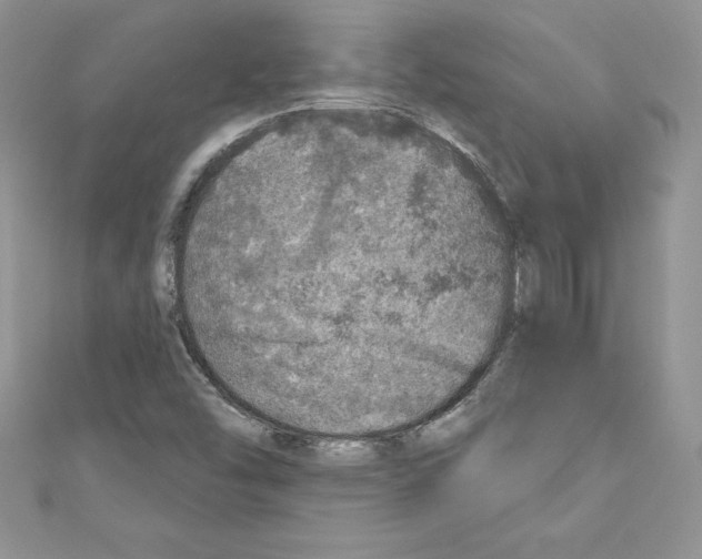 X0000110761454200907271134