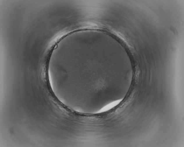 X0000110761455200907271134