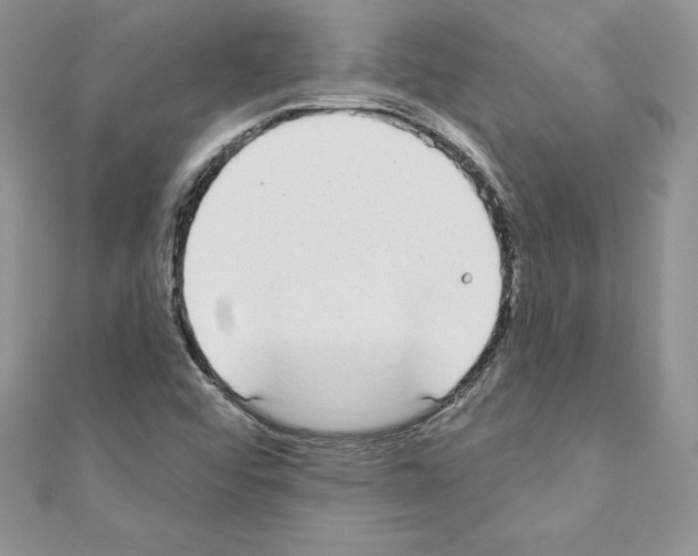 X0000110761456200907271134