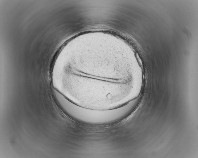 X0000110761457200907271134