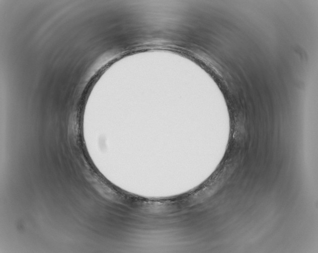 X0000110761458200907271134