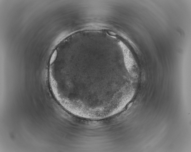 X0000110761459200907271134