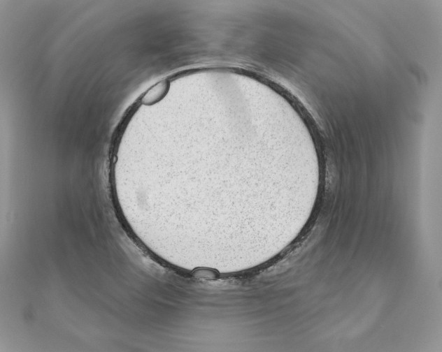 X0000110761460200907271134