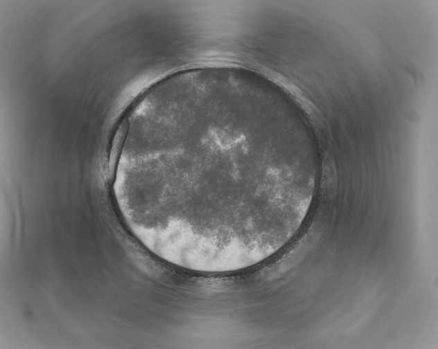 X0000110761461200907271134