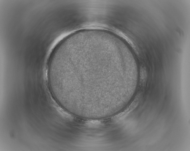 X0000110761462200907271133