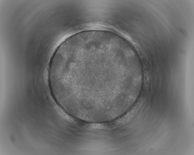 X0000110761463200907271133