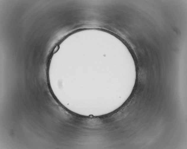 X0000110761464200907271133