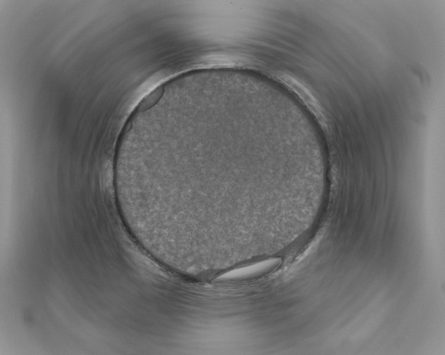 X0000110761465200907271133