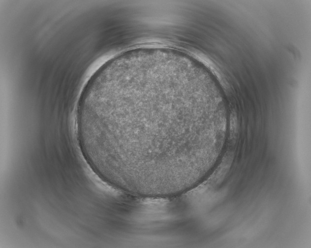 X0000110761466200907271133