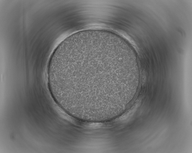 X0000110761467200907271133