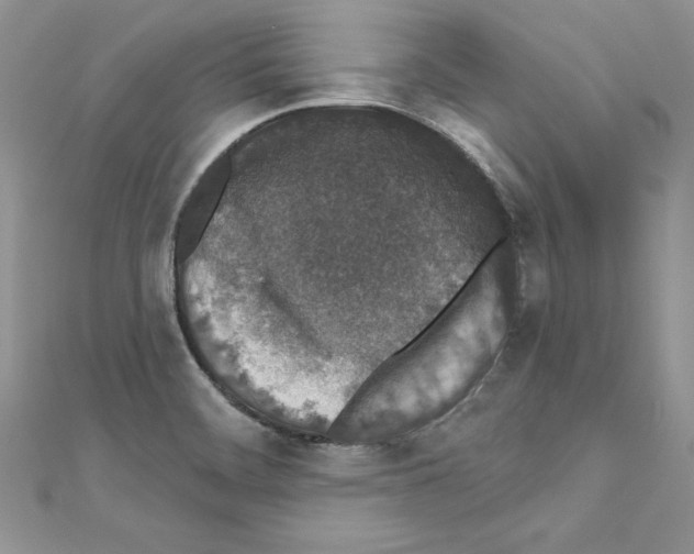 X0000110761468200907271133