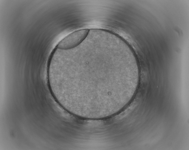 X0000110761469200907271133