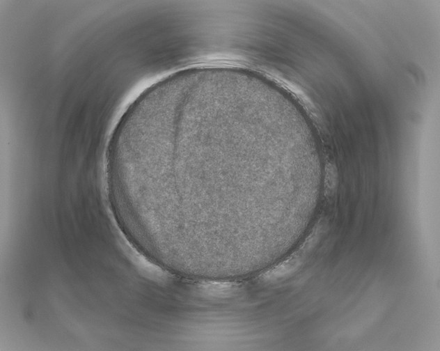 X0000110761470200907271133
