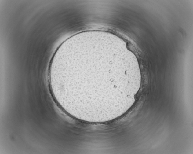X0000110761471200907271133