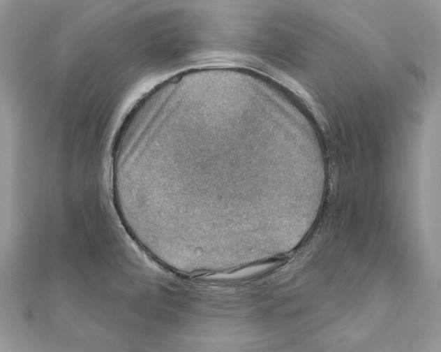 X0000110761472200907271133
