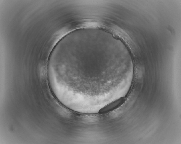 X0000110761473200907271133