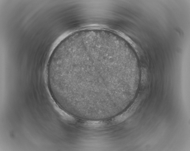X0000110761474200907271133