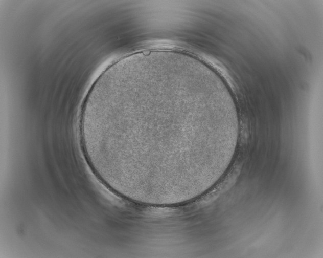 X0000110761475200907271133