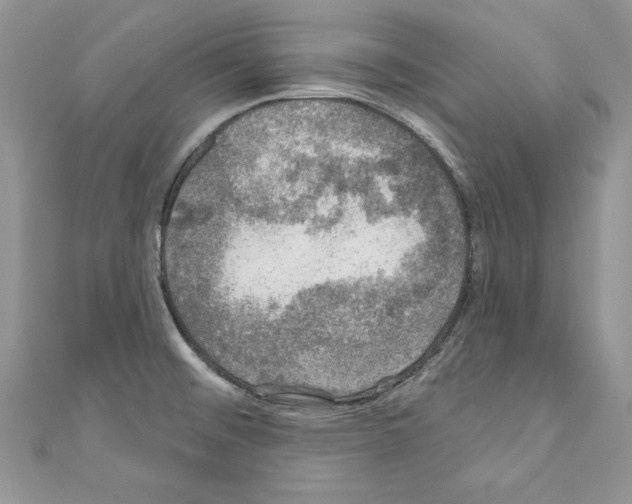 X0000110761476200907271133