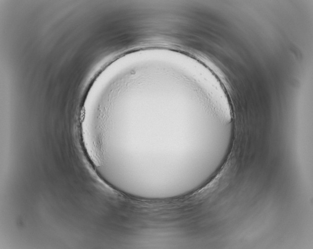 X0000110761477200907271133