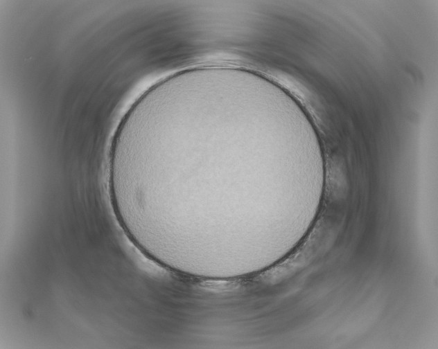 X0000110761478200907271133