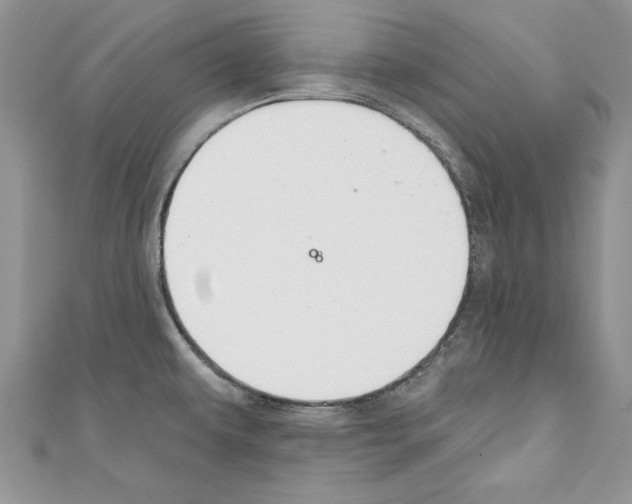 X0000110761479200907271133