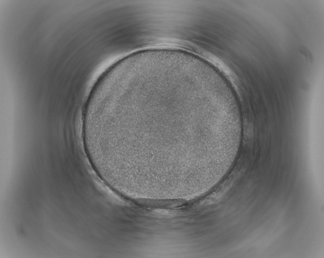X0000110761480200907271133