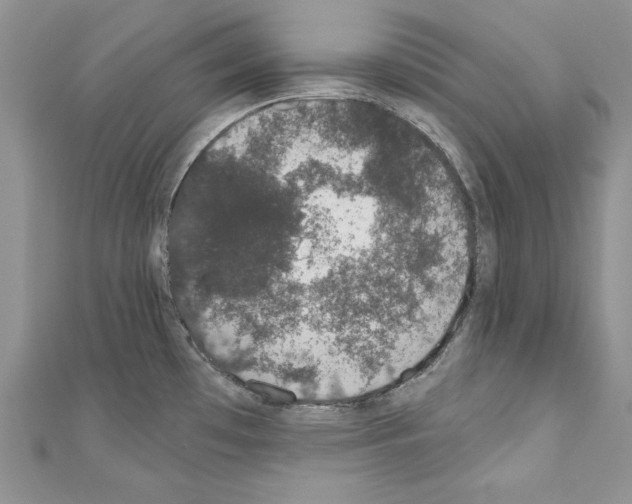 X0000110761481200907271133