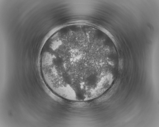 X0000110761482200907271133