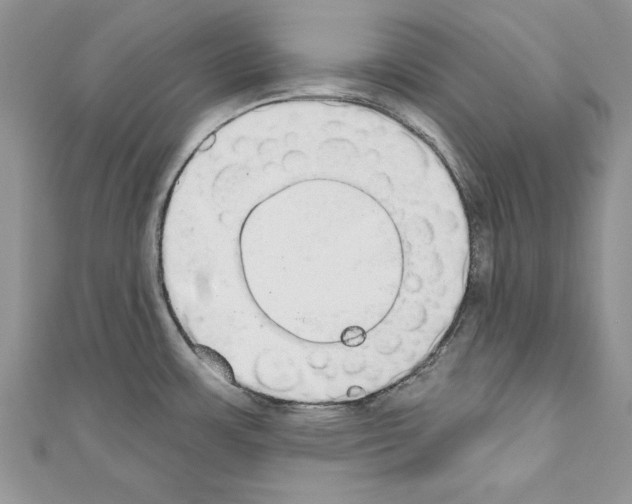 X0000110761483200907271133