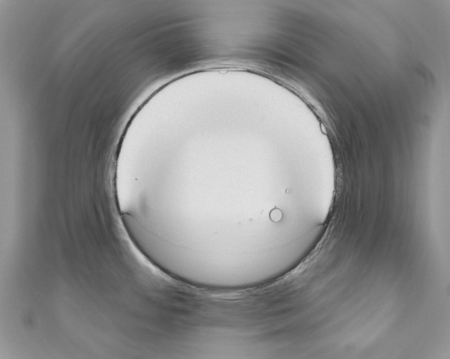 X0000110761484200907271133