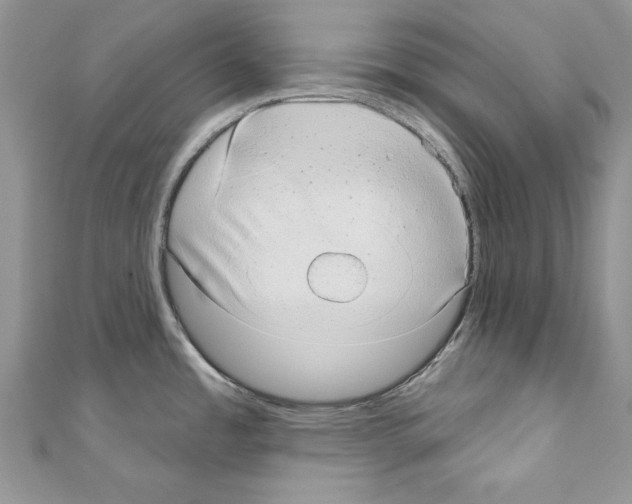 X0000110761485200907271133