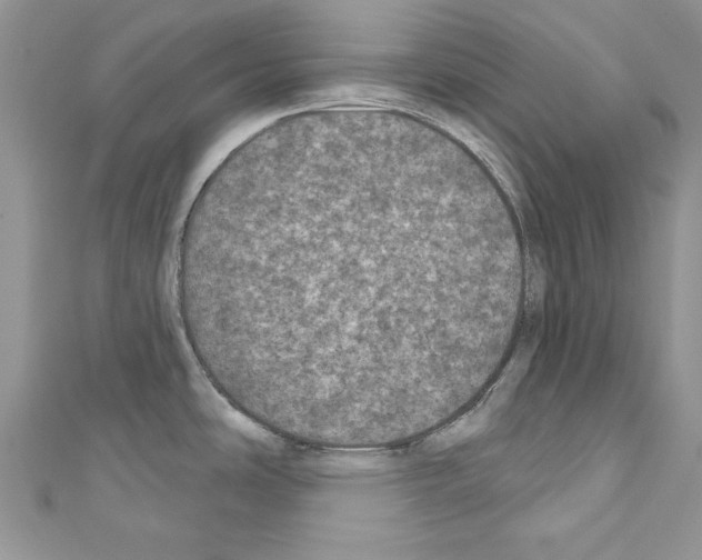 X0000110761486200907271133