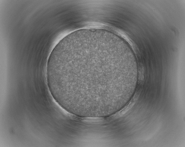 X0000110761487200907271133