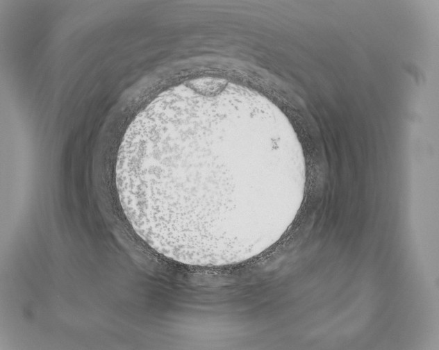 X0000110761489200907271133
