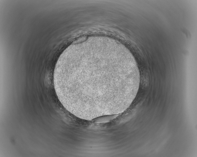 X0000110761490200907271133