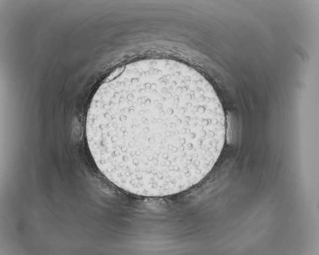X0000110761491200907271133