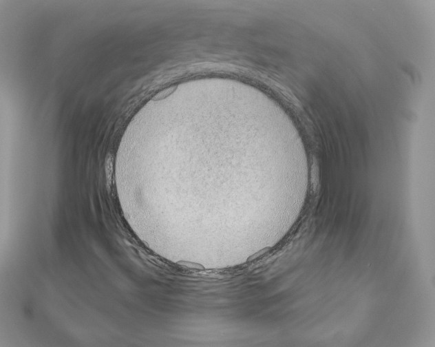 X0000110761492200907271133