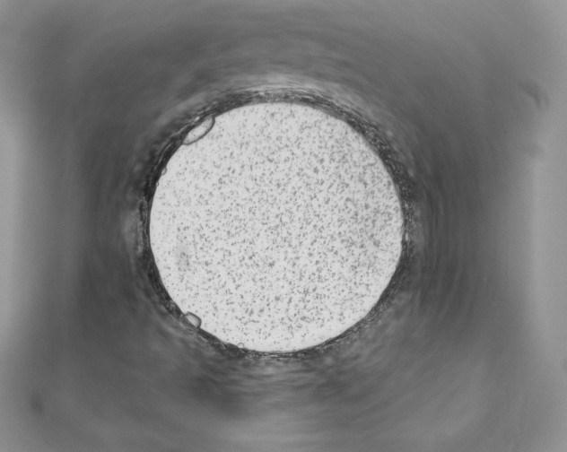 X0000110761493200907271133