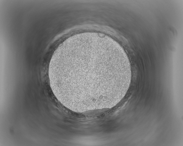X0000110761494200907271133