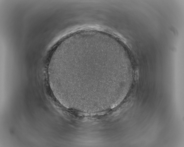 X0000110761496200907271133