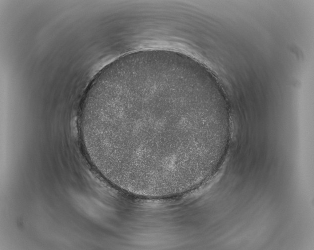X0000110761497200907271133