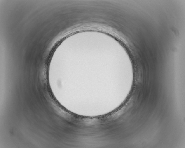 X0000110761498200907271133