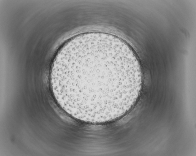 X0000110761499200907271133