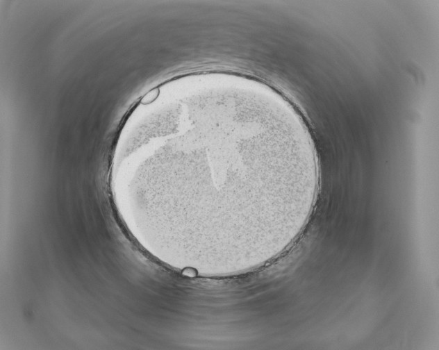 X0000110761500200907271133