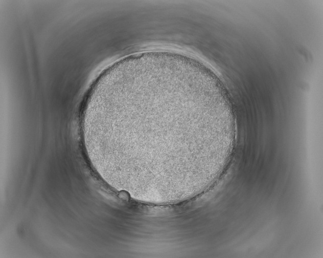 X0000110761501200907271133